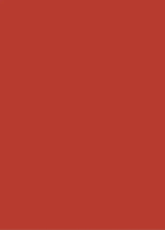 Product Developer